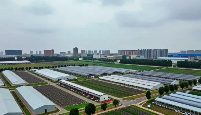 公众号运营中域名选型的三大关键考量